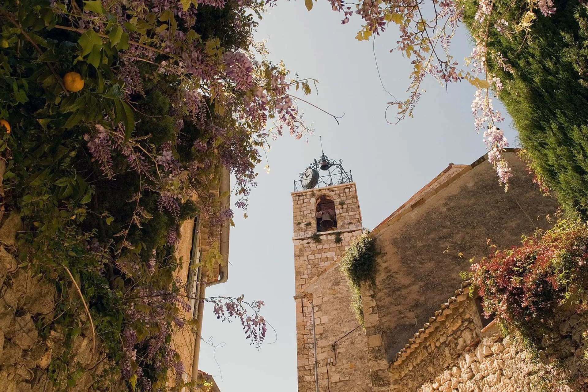 Le clocher de Châteauneuf-de-Grasse encadré de glycine