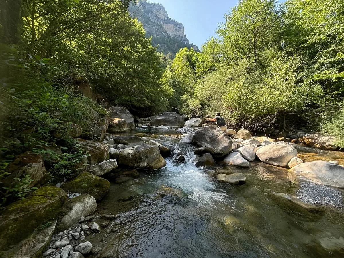 The Loup river running through woodland