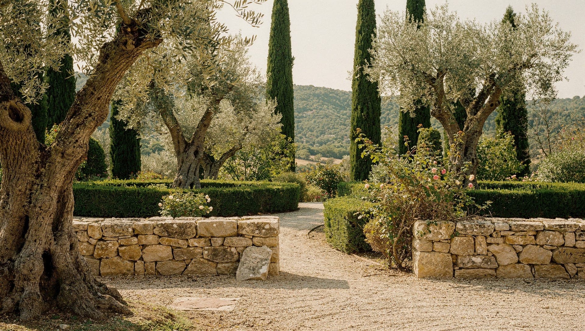 The old town of Grasse rising above the hills, a short drive from Mougins