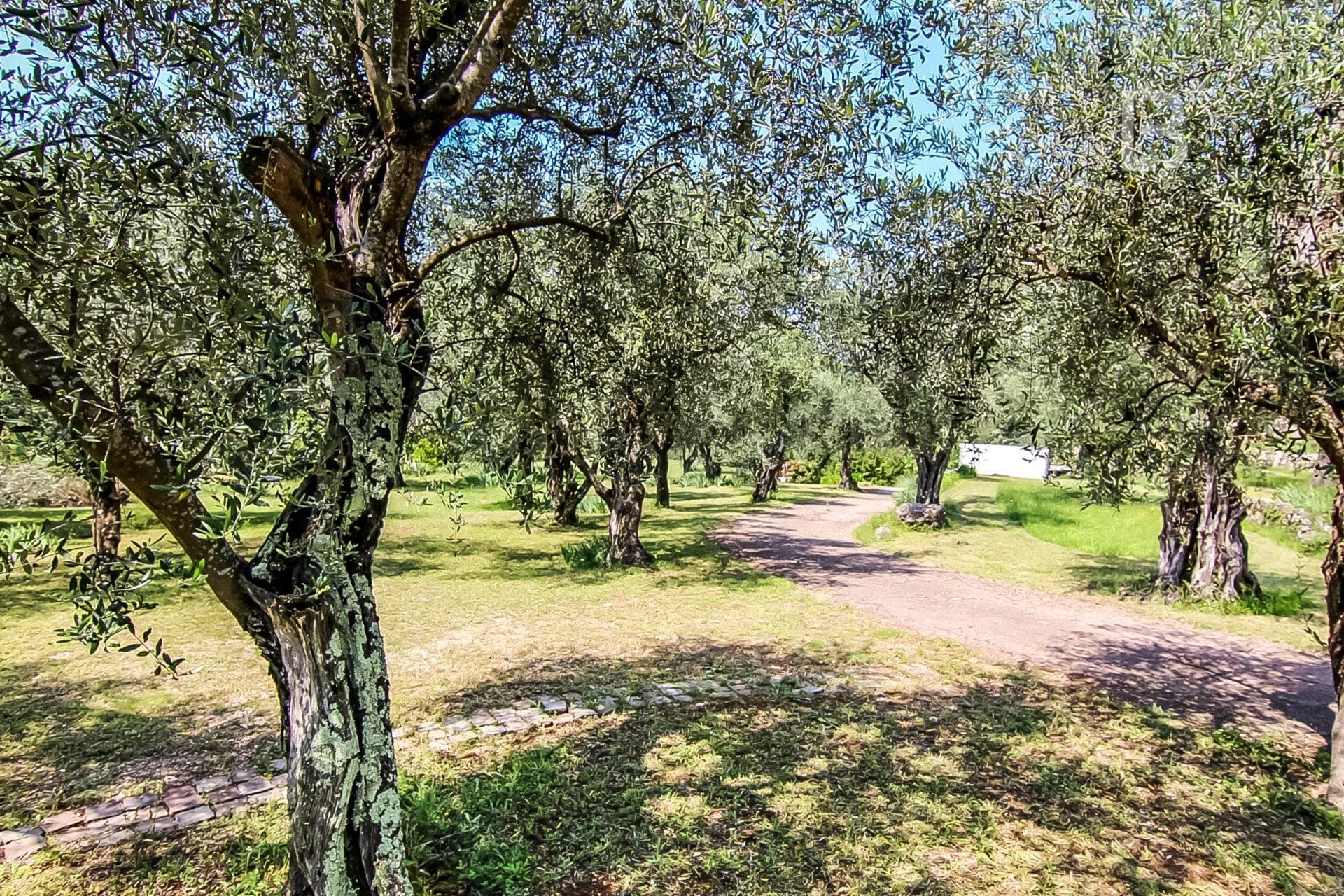 Bergerie du 18ème siècle à Grasse avec vue panoramique - 5