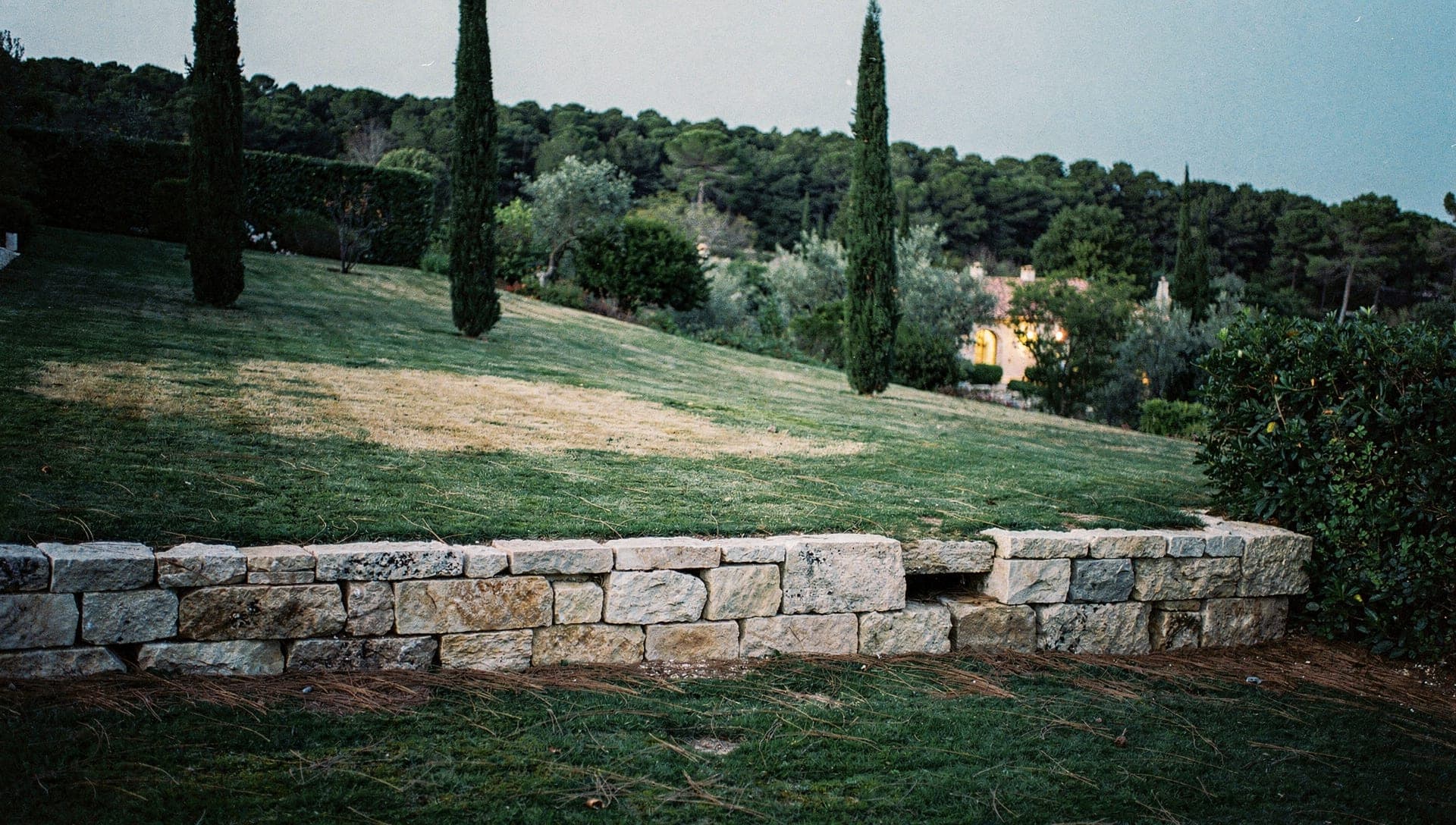 Cleared ground beneath Aleppo pines beside a stone villa wall in the Riviera hinterland at early morning