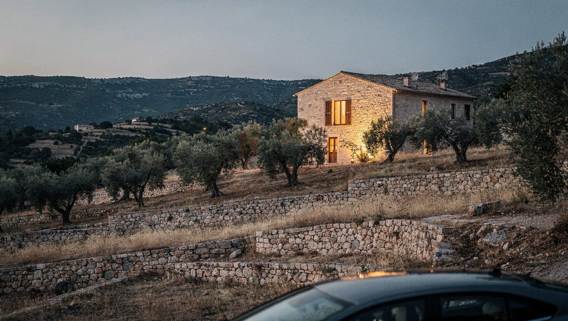 Terraced olive grove on dry-stone restanques above a stone Provencal villa near Opio in the Riviera hinterland at golden hour