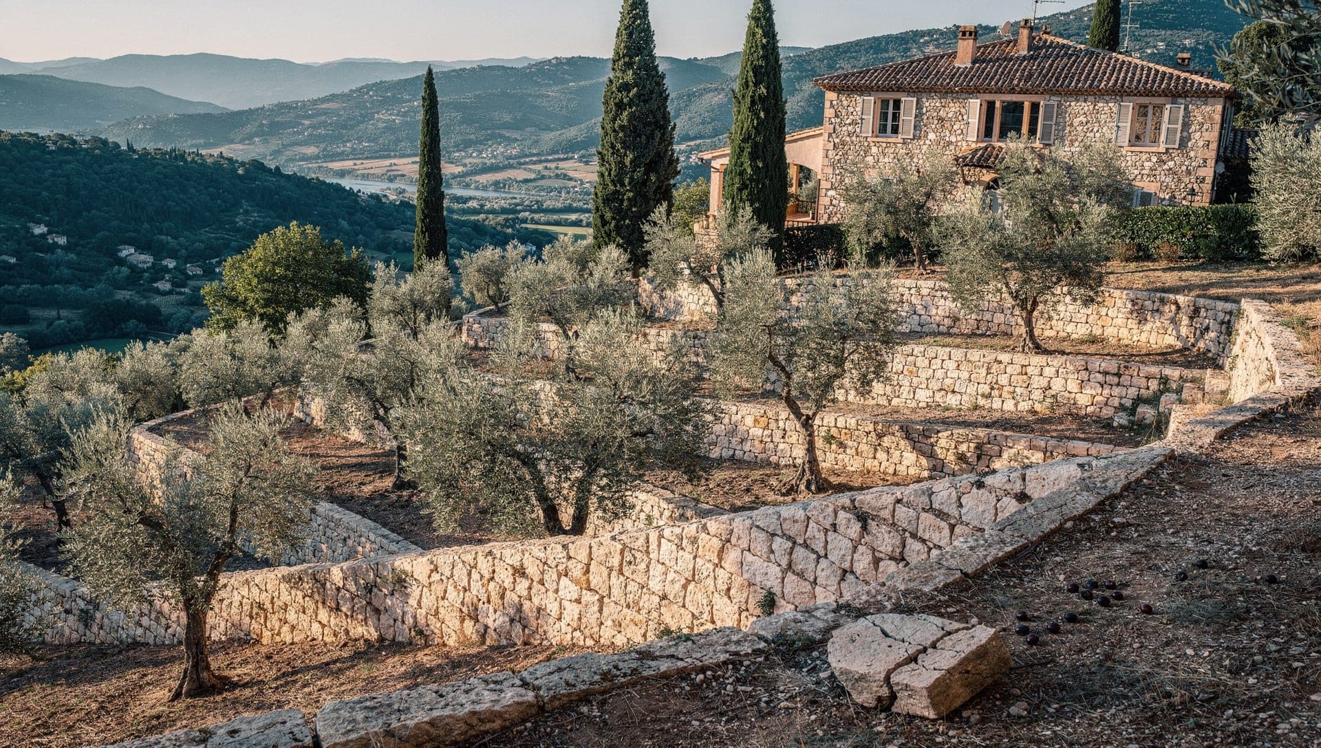 Olive terraces and stone villas on the green hillsides of Opio above the Brague valley in the French Riviera hinterland at golden hour