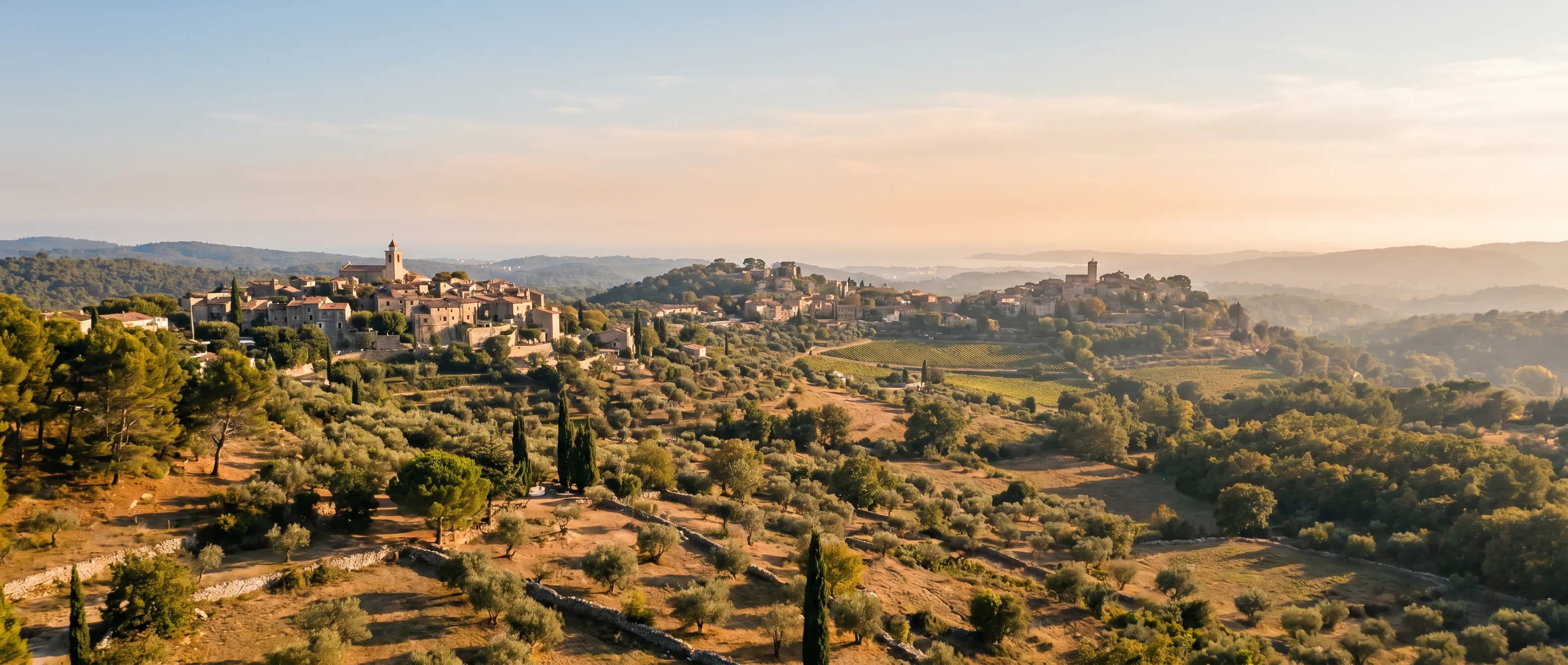 Aerial view of villas and olive groves in the French Riviera hinterland with the Mediterranean coast visible in the distance