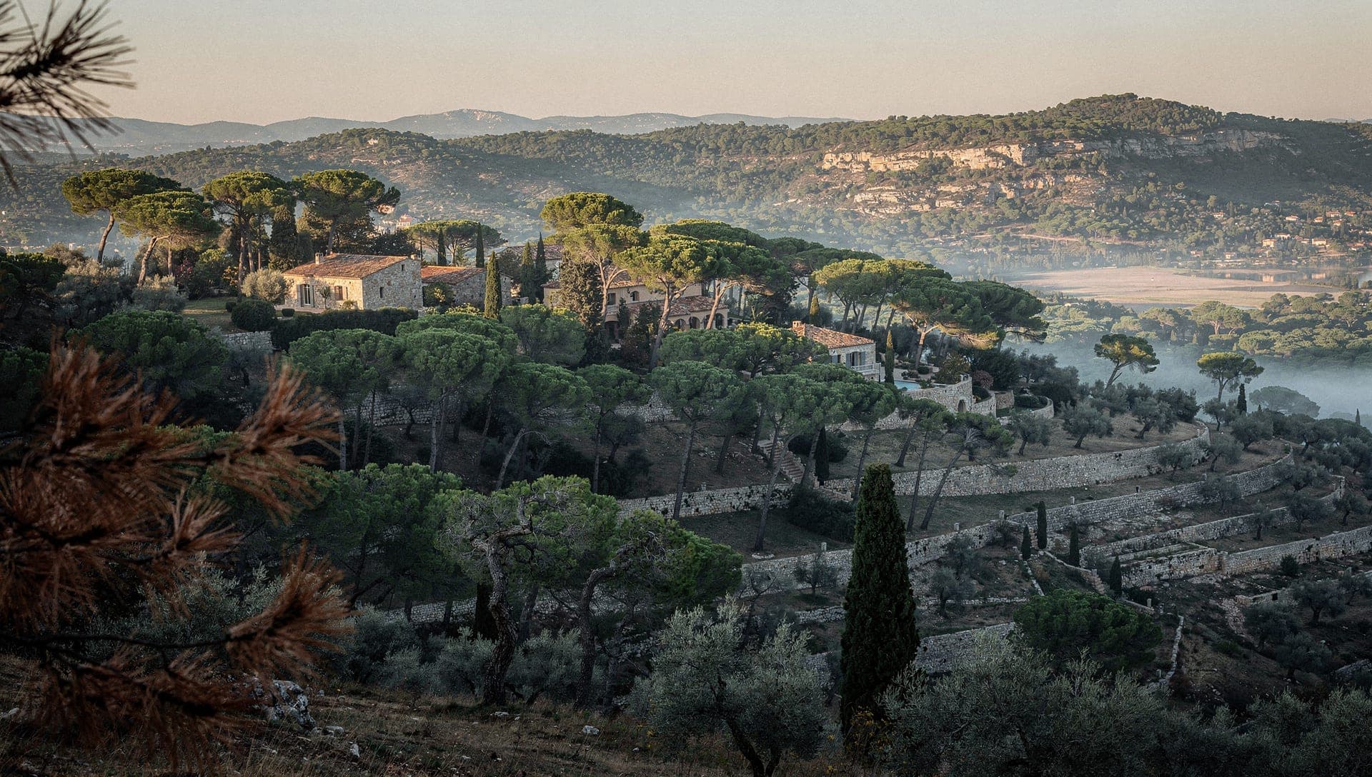 Pine woods and stone villas on large gardens above Roquefort-les-Pins in the Alpes-Maritimes at early morning