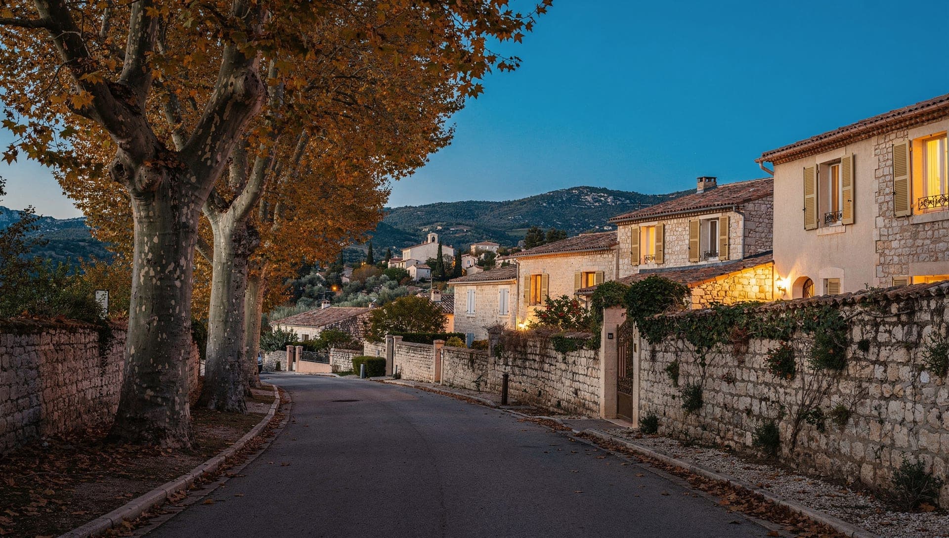 Stone village school courtyard shaded by plane trees in Valbonne, Alpes-Maritimes, near Sophia Antipolis, soft morning light