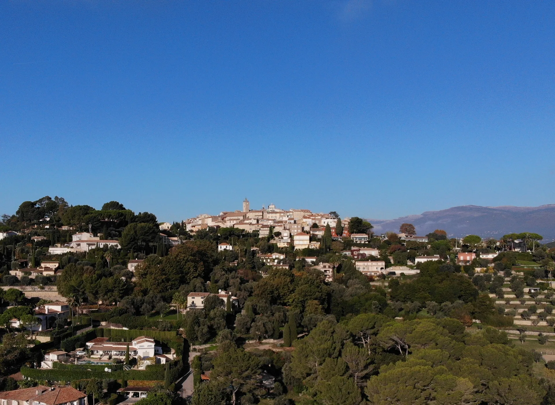 Aerial view of villas and olive groves in the French Riviera hinterland with the Mediterranean coast visible in the distance